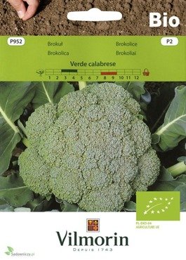 Brokuł Calabrese Natalino - nasiona ekologiczne BIO